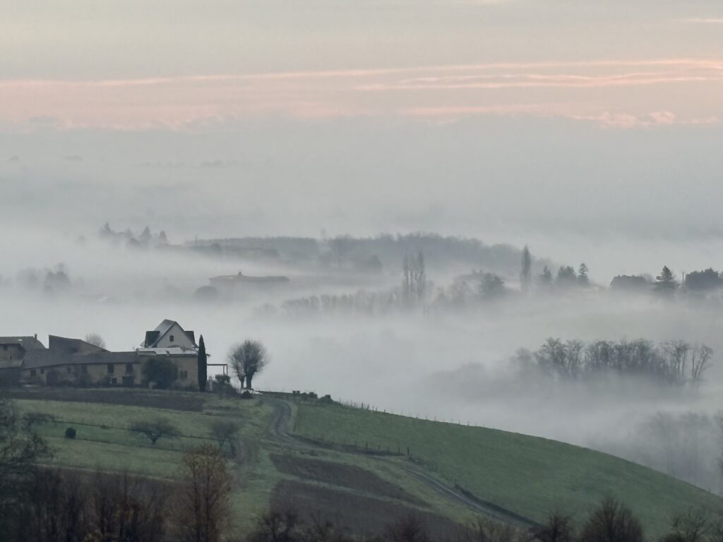 Paysage du Beaujolais au lever du jour émergeant de la brume